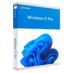 Microsoft Windows 11 Professional License Key