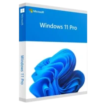 Microsoft Windows 11 Professional License Key
